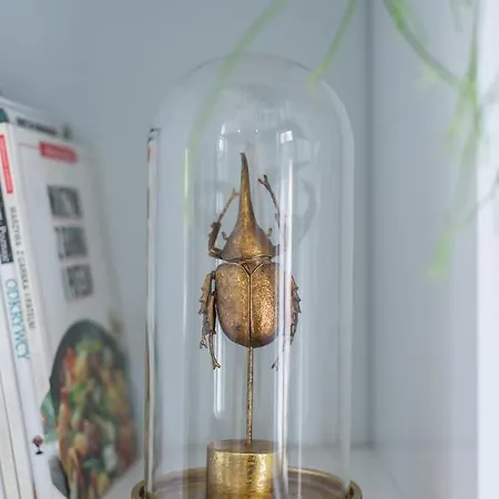 Hello Chlebnicka 그단스크